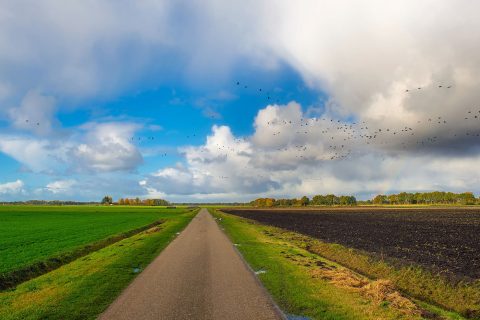 East Midlands Farm & Private Road Contractors